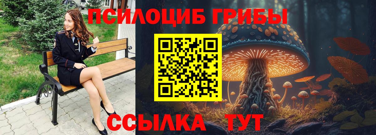 Видное  Псилоцибиновые грибы прущие грибы  Вход с VPN 